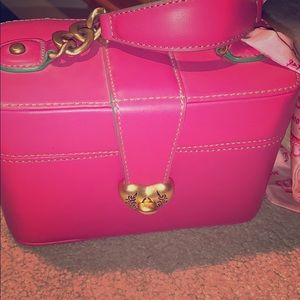 Super cute juicy mini purse